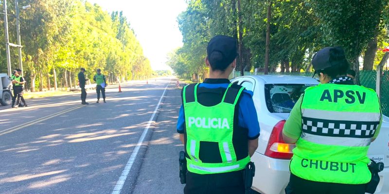 controles vehiculares chubut