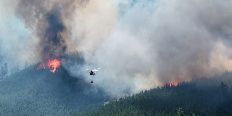 WhatsApp Image 2026-01-05 at 6.14.56 PM