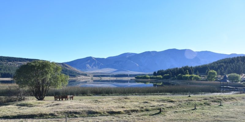 WhatsApp Image 2026-01-06 at 8.55.56 AM