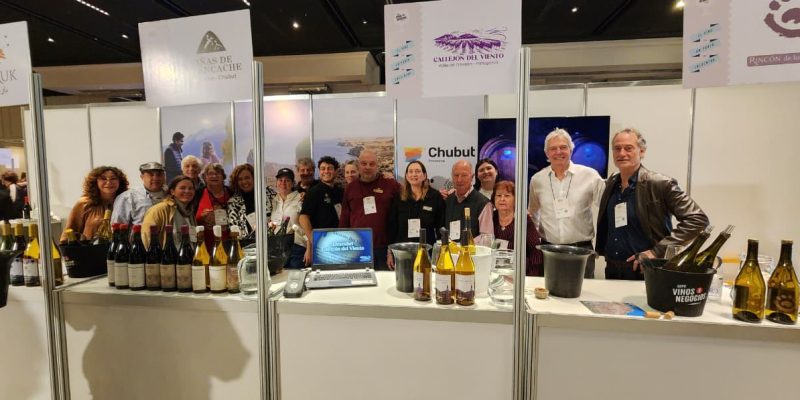 viñedos expo 346824