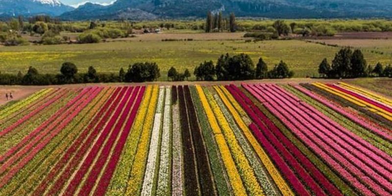 resizer